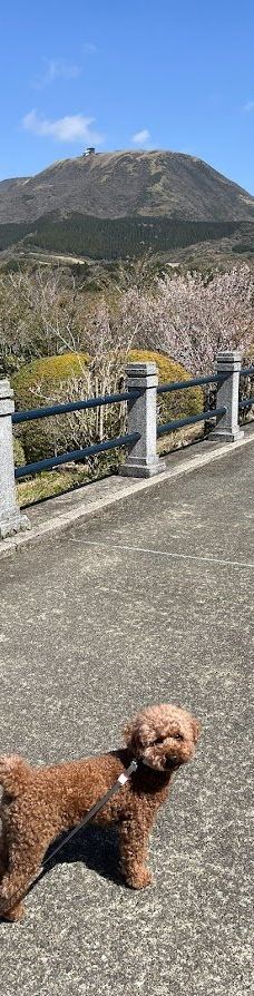 恩赐箱根公园-箱根