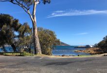 Coles Bay Jetty景点图片