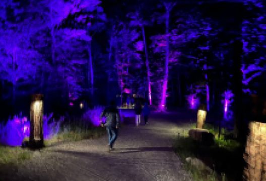 Tonga Lumina景点图片