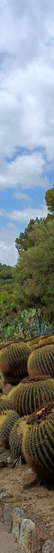 Jardí Botànic Tropical Paratge Pinya de Rosa-布拉内斯