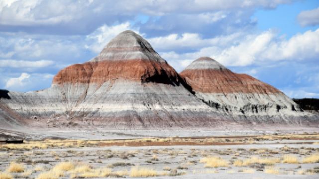 Petrified Forest National Park