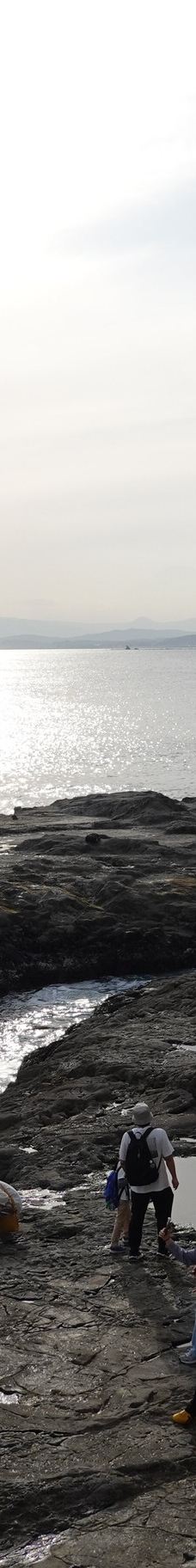 江之岛岩屋-藤泽市