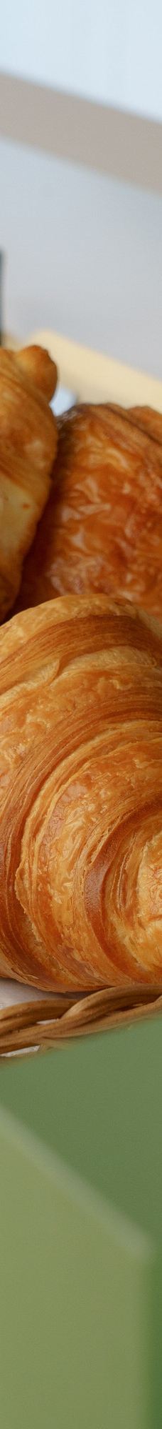 玛摩丹美术馆-巴黎