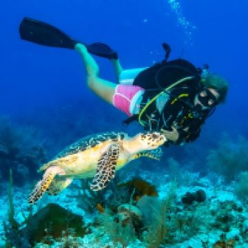 开曼布拉克图片