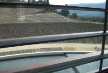Don Maximiano Vineyard景点图片