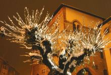 Musee d'Art et d'Histoire d'Albertville景点图片