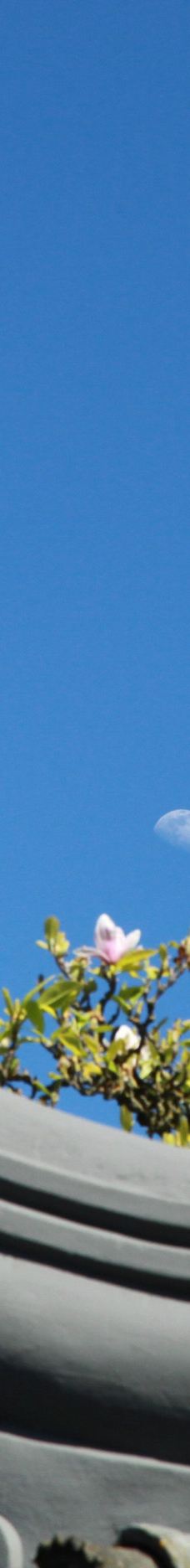 兰苏中国花园-波特兰