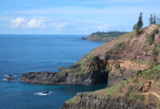 Norfolk Island National Park & Botanic Garden景点图片
