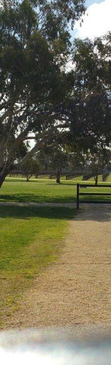 Penley Estate-库纳瓦拉