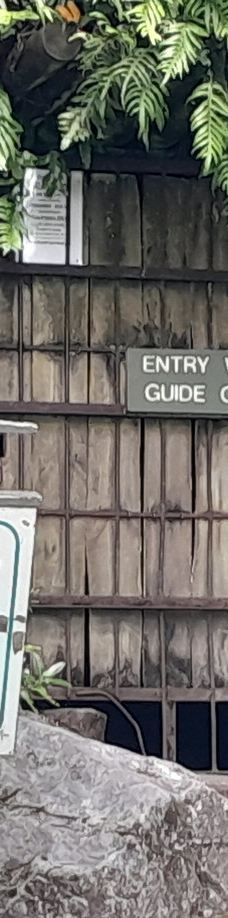 Ngarua Caves-Takaka Hill