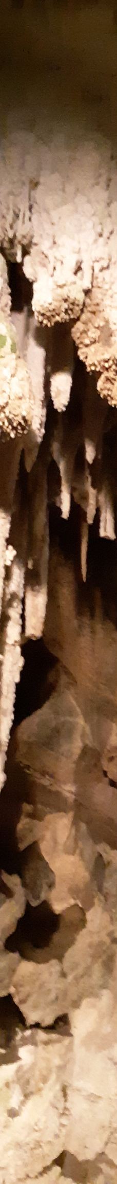 Ngarua Caves-Takaka Hill