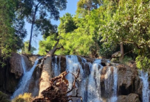 Doi Phu Nang National Park景点图片