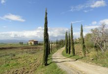 Basile Azienda Agricola Biologica景点图片