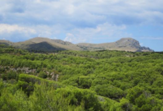 Puig de sa Tudosa景点图片