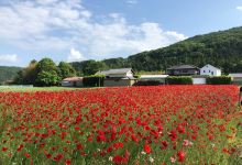 Saitama Dento Kogei Kaikan景点图片