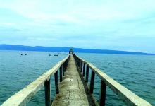 Talabong Mangrove Park景点图片