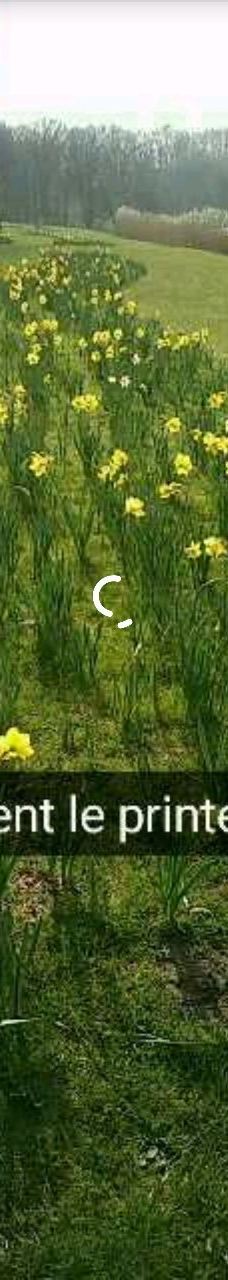 Lac de Creutzwald-柯哲斯瓦尔德拉克鲁瓦