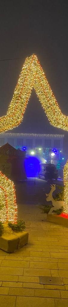 Alter Marktplatz-奥芬堡