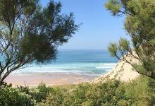 Plage d'Erretegia景点图片