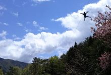 Forest Adventure Kosuge景点图片