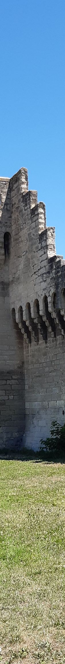 阿维尼翁城墙-阿维尼翁