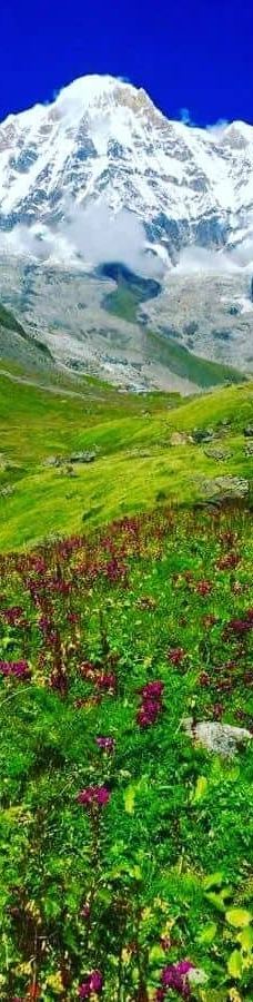 Annapurna Base Camp-卡斯基