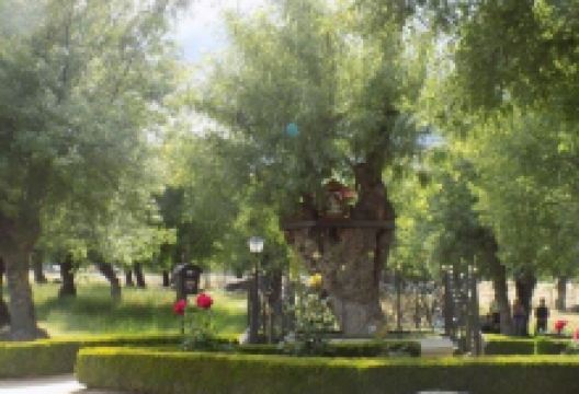 Prado Nuevo景点图片