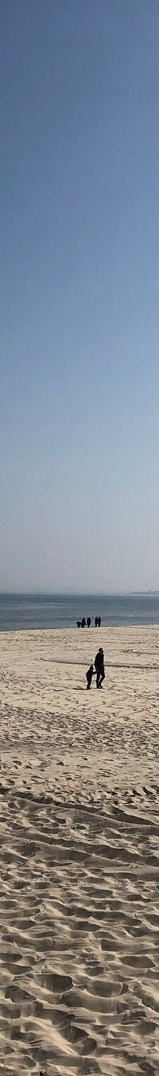 Seebrücke-黑灵斯多夫