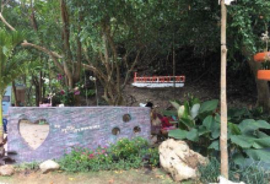 Khao Sam Bat Cave景点图片