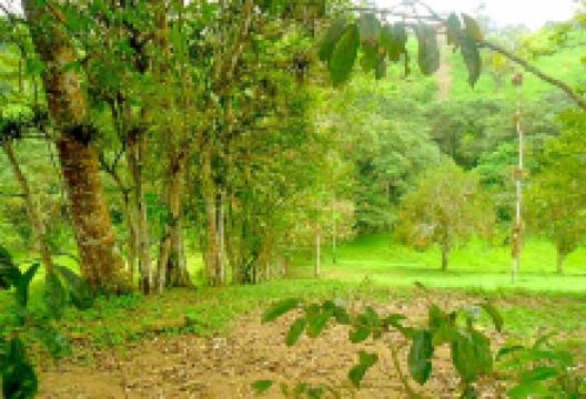 Chocolate Farm Ecuador景点图片