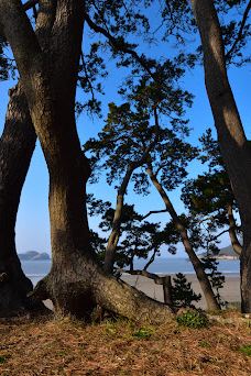 Bungye Beach-新安郡