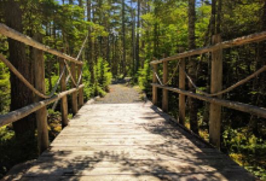 Father Duffy's Well景点图片