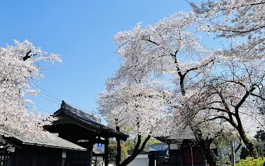 円照寺(絵馬寺)