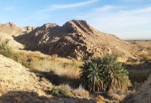 Bouhedma national park entrance景点图片