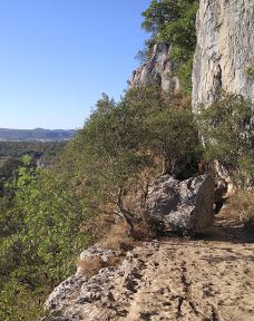 Wood Païolive-罗纳-阿尔卑斯