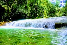 Iddi Reforestation Project Yasica景点图片