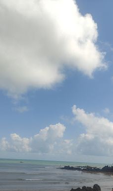 Jangalancha Show-纳塔尔