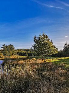 Svanninge Bakker-福堡