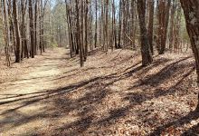 White Oak Road Battlefield景点图片