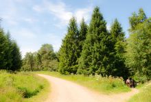 Stockhill Wood景点图片
