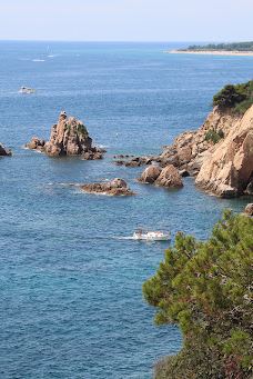 Jardí Botànic Tropical Paratge Pinya de Rosa-布拉内斯