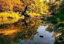 Bozenkill Park景点图片