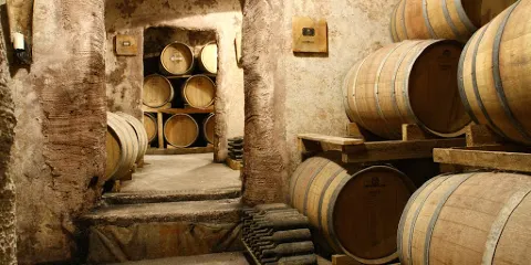 Cantina San Donaci