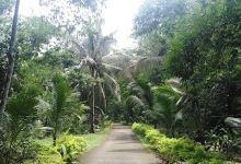 Caveland Nature Park景点图片