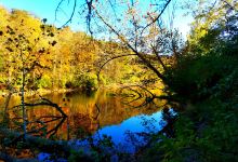 East Fork Lake景点图片