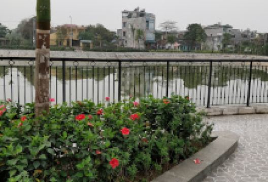 Public Park and Pond景点图片