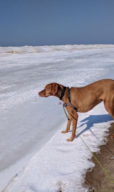 Grand Haven City Beach-渥太华县