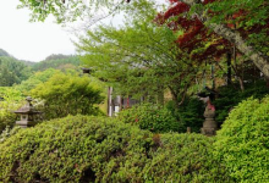 温月庵薬师堂景点图片