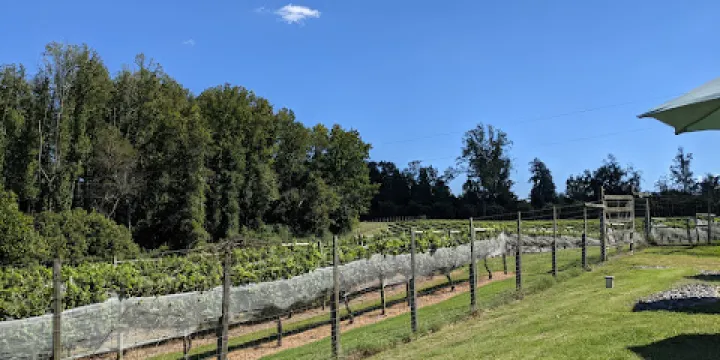 Thanksgiving Farm Winery