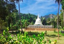 Vipassana Meditation Centre景点图片